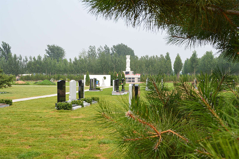 十个迁坟九个败是什么意思?是为什么? 十个迁坟九个败是什么意思?是为什么?