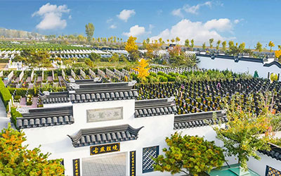 屋后突然建公共墓地该怎么化解