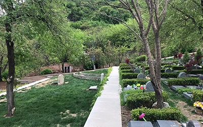 爷爷的坟对谁的影响大？会影响哪些方面？