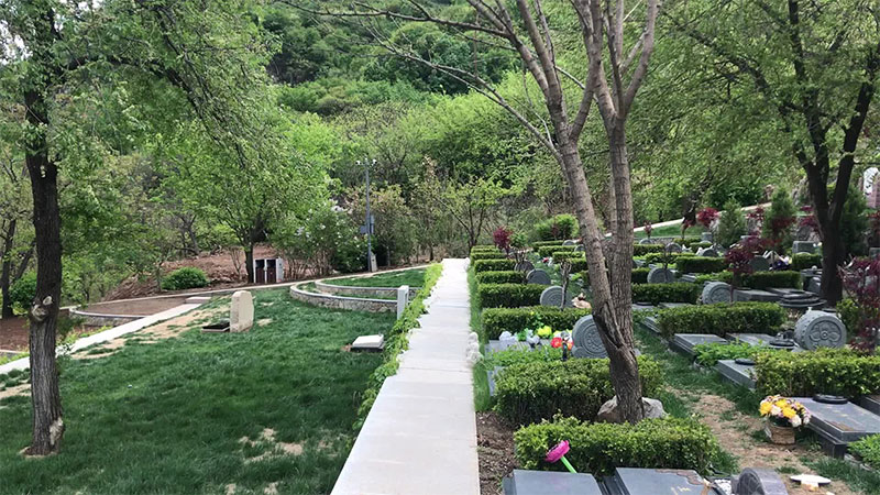 爷爷的坟对谁的影响大?会影响哪些方面? 爷爷的坟对谁的影响大?会影响哪些方面?