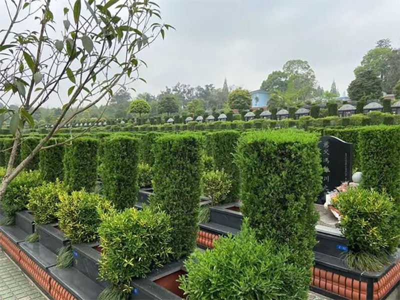 坟地里埋什么旺后人？可以让后人富贵