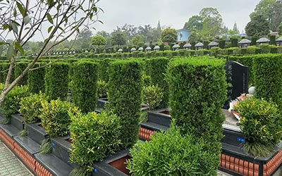 坟地里埋什么旺后人？可以让后人富贵