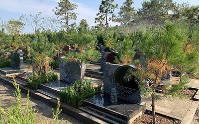 好的祖坟风水几年见效？会影响几代人？