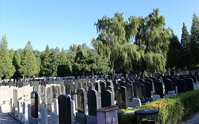 祖坟风水一定要懂这些布局要点