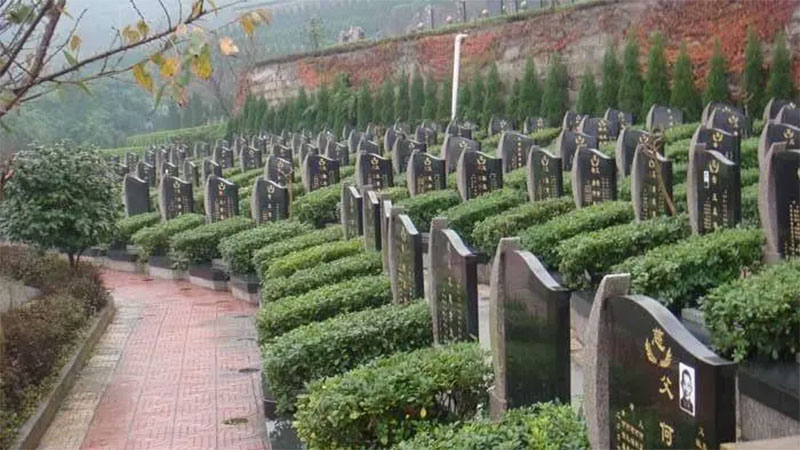 最重要的祖坟风水观测及看法 最重要的祖坟风水观测及看法