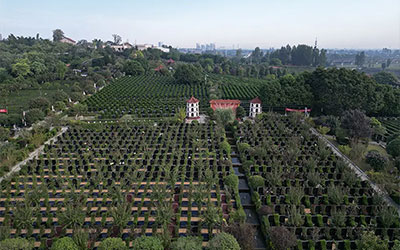 坟墓风水一定要重视环境的构成