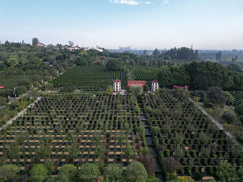 坟墓风水一定要重视环境的构成 坟墓风水一定要重视环境的构成