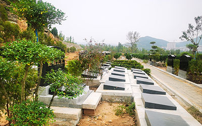 祖坟风水判定方式决定结果