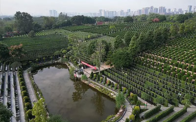 坟墓风水大法之注意水口走向