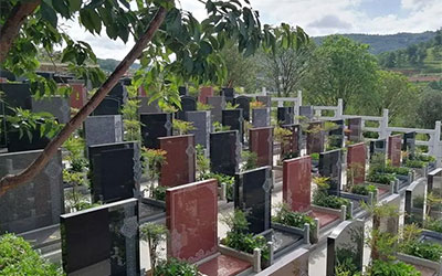 在阴宅风水中的要领和重点是什么