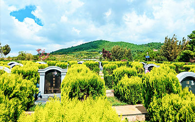 坟地风水如何影响后代运势