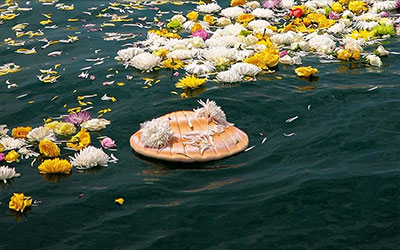 海葬和树葬哪个好？