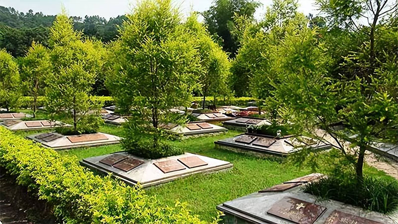 树葬和海葬哪个好