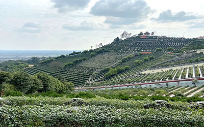 合葬是什么意思？要注意什么？