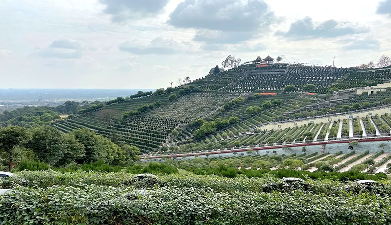 合葬是什么意思？要注意什么？