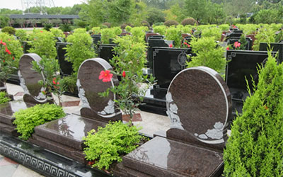 扫墓上坟选用鲜花都有哪些讲究？扫墓摆放什么花比较好？