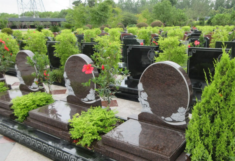 扫墓上坟选用鲜花都有哪些讲究？扫墓摆放什么花比较好？