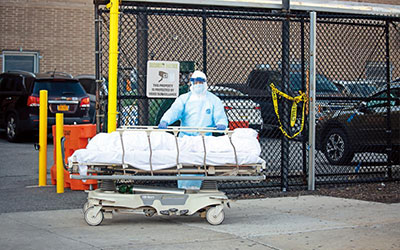 国外运送遗体回国的大致费用是多少？