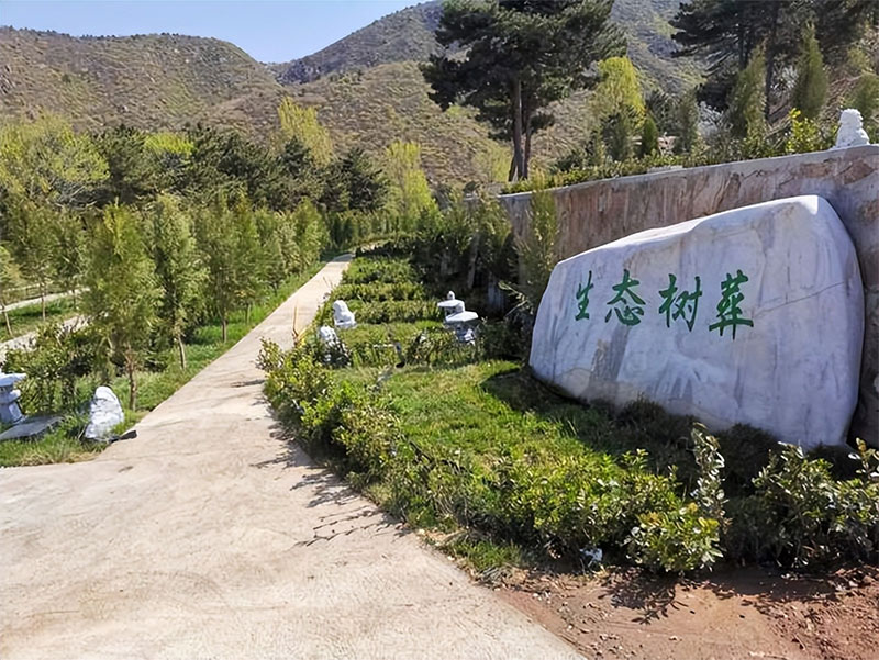 树葬是什么意思?树葬要去哪里办理呢? 树葬是什么意思?树葬要去哪里办理呢?