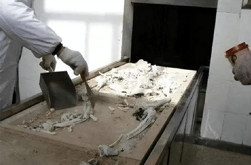 火化费一般多少钱？火化一个遗体的费用一般多少钱？