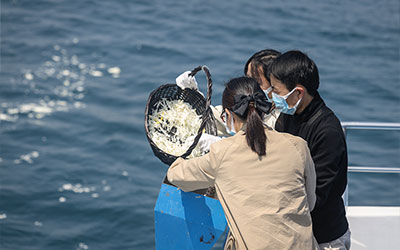 海葬的流程是怎样的？海葬流程包括哪些环节？