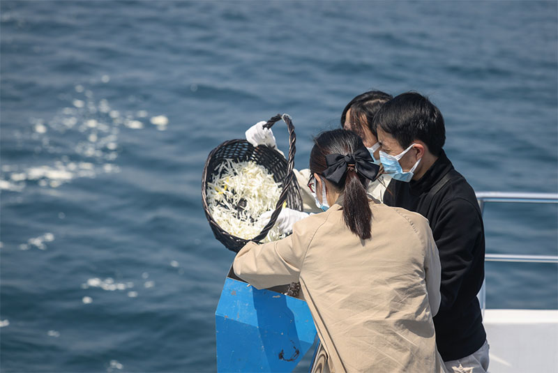 海葬的流程是怎样的？海葬流程包括哪些环节？
