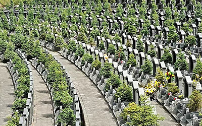 墓位到期不续费会怎么样？