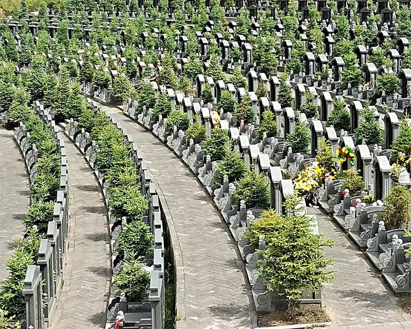 墓位到期不续费会怎么样 墓位到期不续费会怎么样