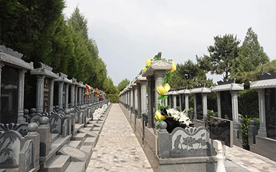 好墓地应该有的风水