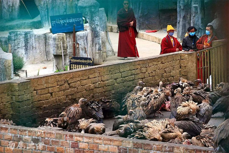 藏族人的丧葬习俗观念是怎样的 藏族人的丧葬习俗观念是怎样的