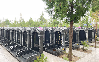 墓地上放一物后代富贵