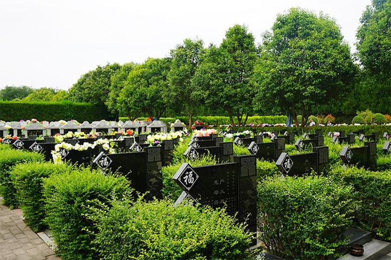 有关墓地的重要事项