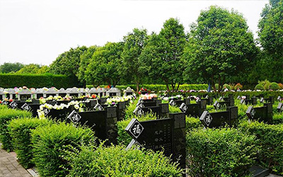 有关墓地的重要事项