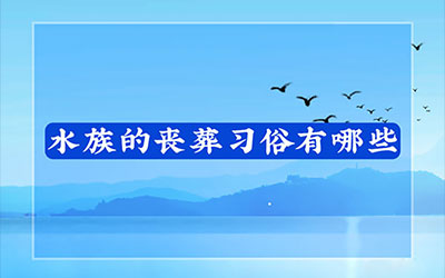 水族的丧葬习俗有哪些