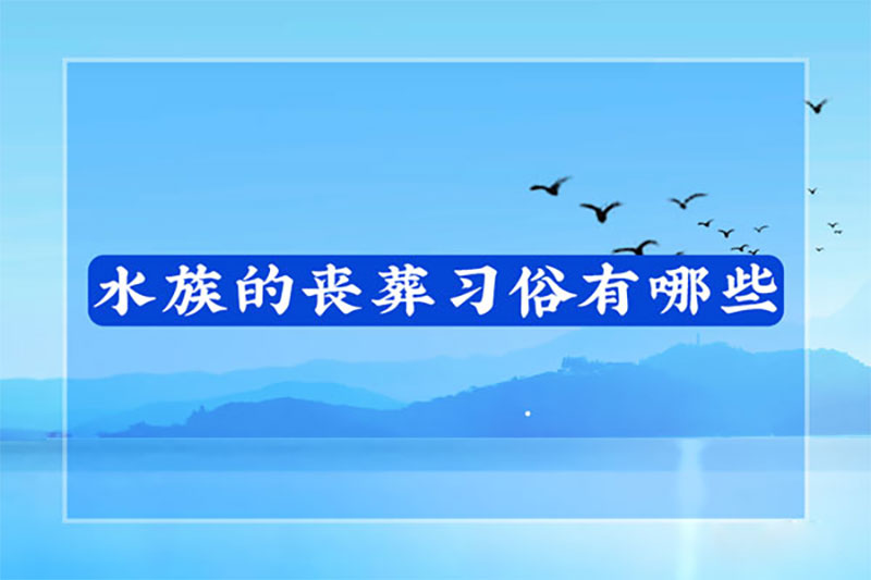 水族的丧葬习俗有哪些 水族的丧葬习俗有哪些
