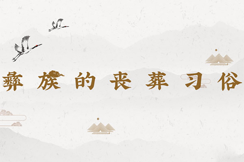 彝族的丧葬习俗：树葬、路葬、弃葬