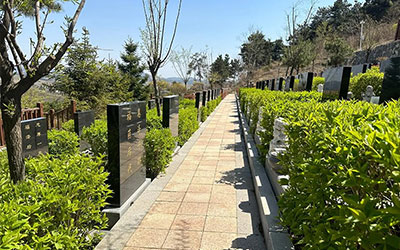 墓地的注意事项