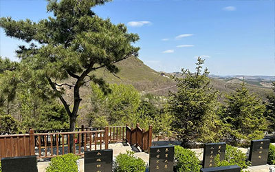 墓地看福祸（一）