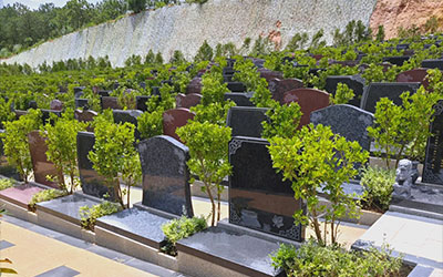 买墓地有哪些讲究