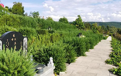 昆明墓园墓位两旁树木有什么讲究？