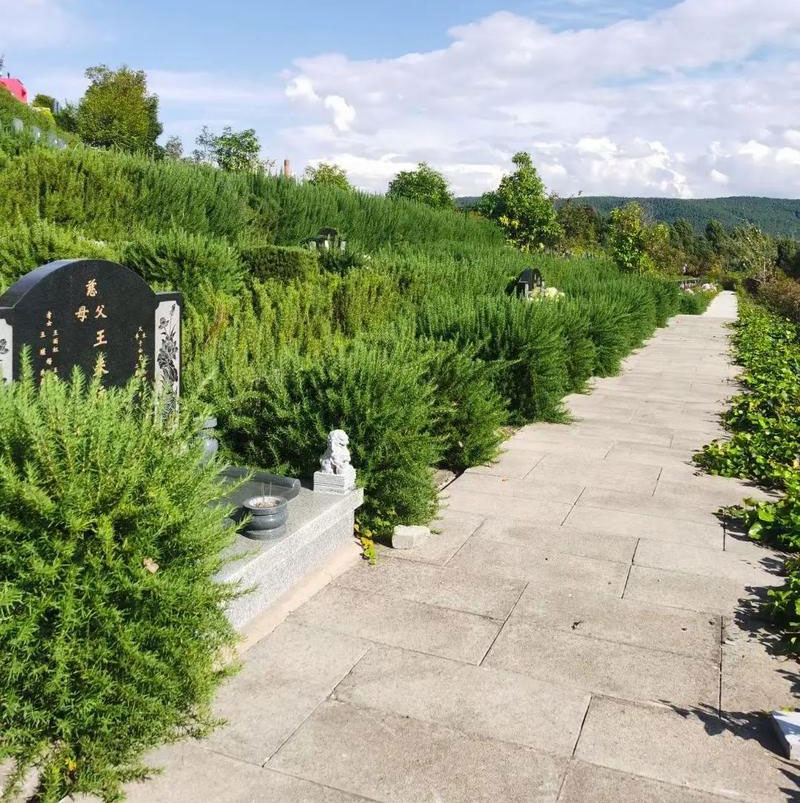 昆明墓园墓位两旁树木有什么讲究