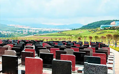 有人问横死能入土吗？