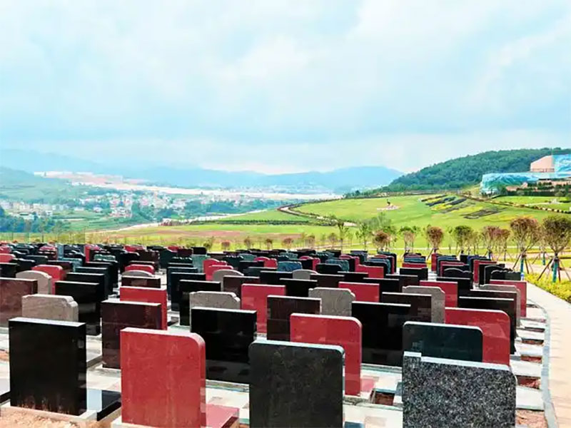 有人问横死能入土吗 有人问横死能入土吗