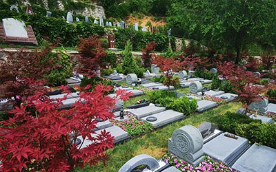 给老人选墓需要注意什么？