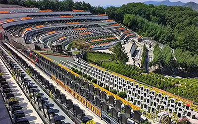 合法墓地一般使用年限是多久？