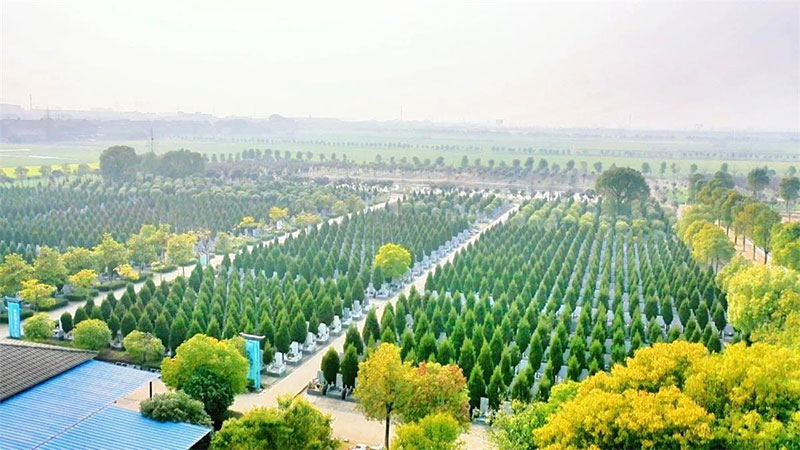 墓地使用年限是多少年