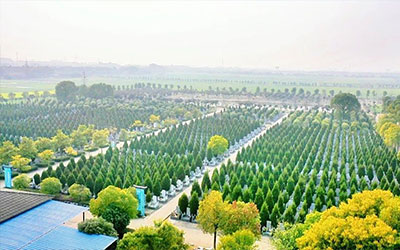 墓地使用年限是多少年？