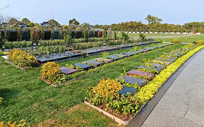 草坪葬和花坛葬的区别？