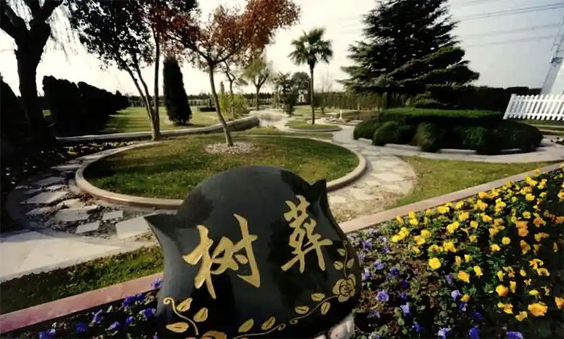 最常见的环保生态葬方式是什么形式 最常见的环保生态葬方式是什么形式