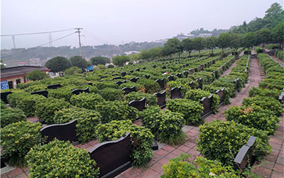 购买墓地后可以永久使用吗？